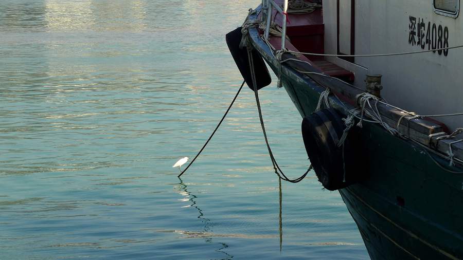 p1200570_1.jpg