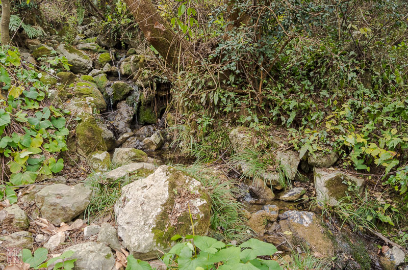 l1002681.jpg