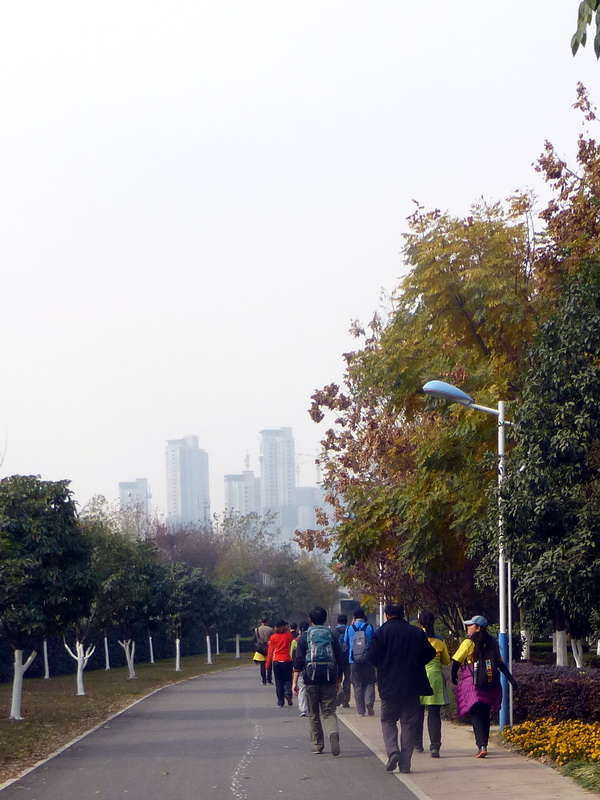 p1150510.jpg