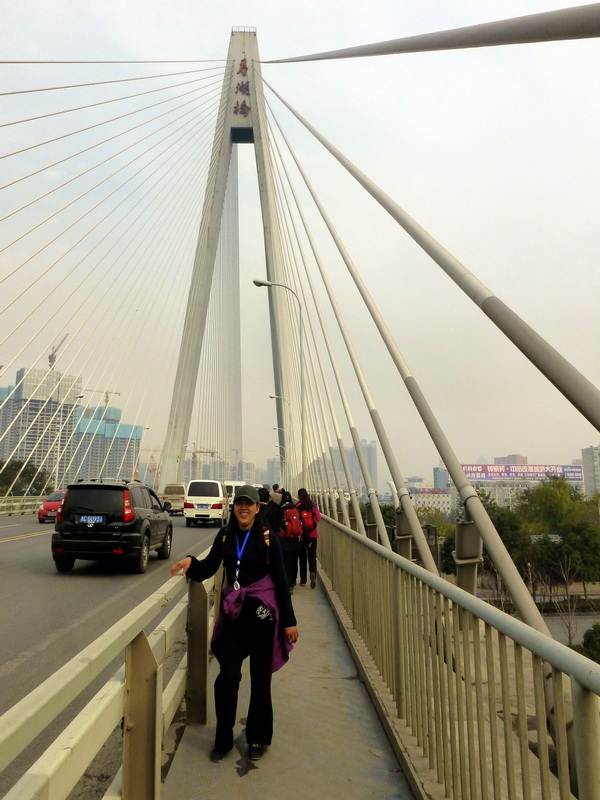 p1150520.jpg