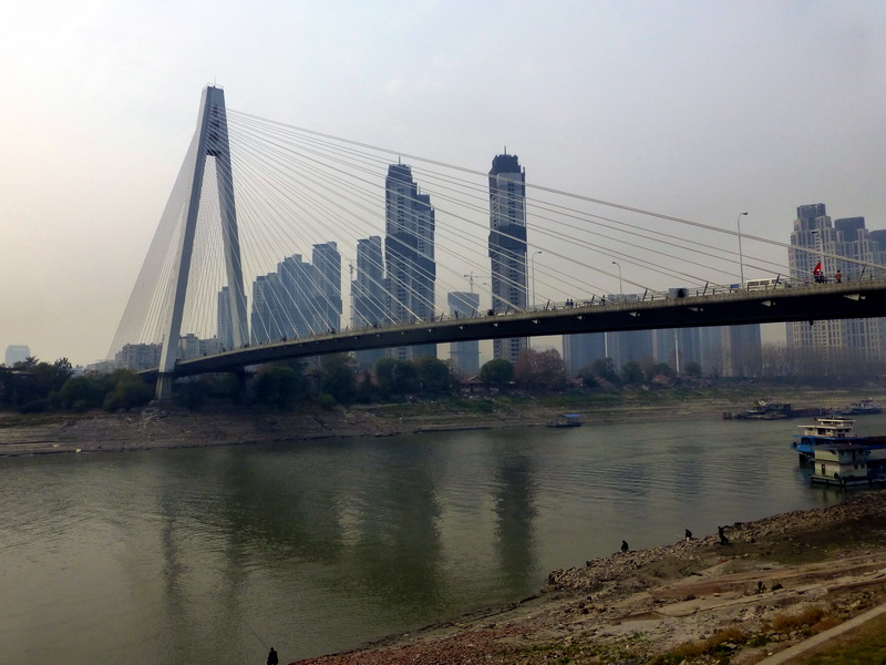 p1150533.jpg