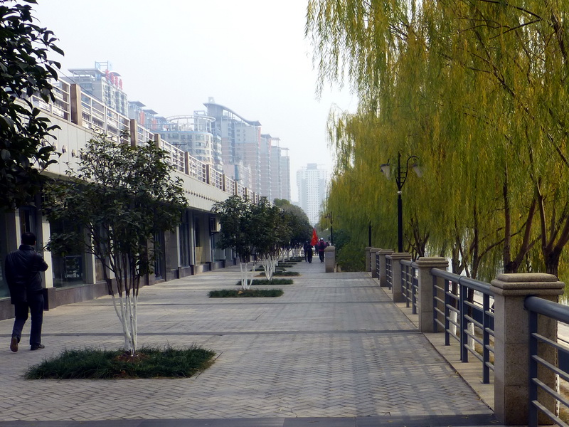 p1150546.jpg