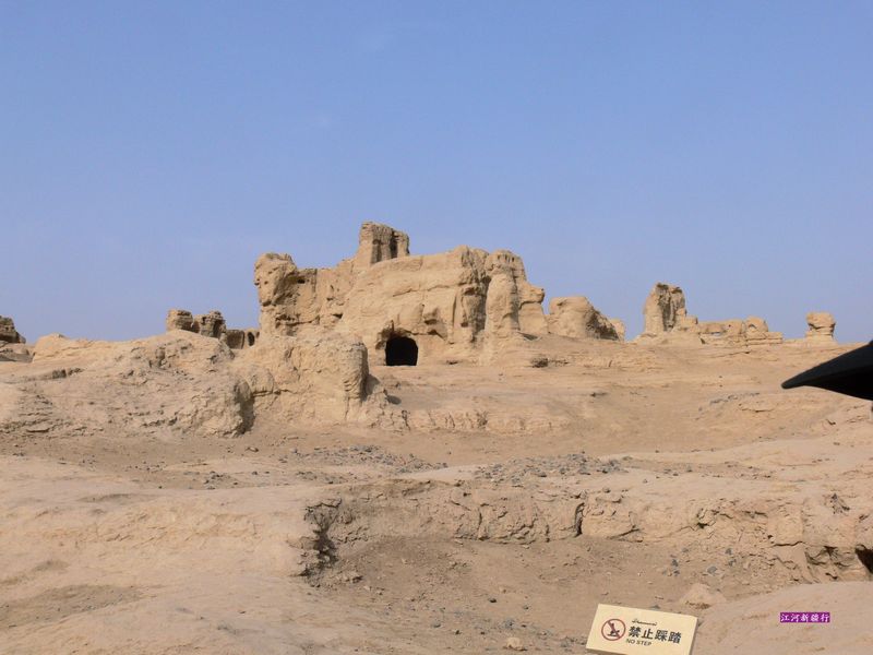 p1290669.jpg