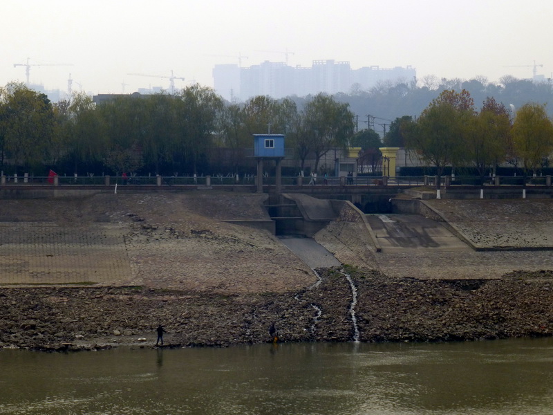 p1150539.jpg