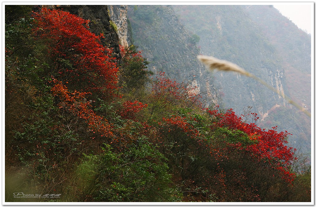 img_6520,.jpg