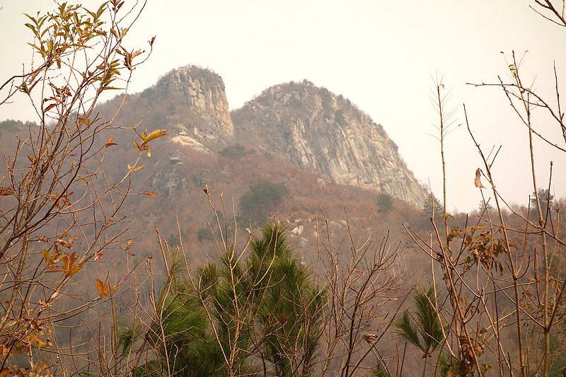 dsc05184.jpg
