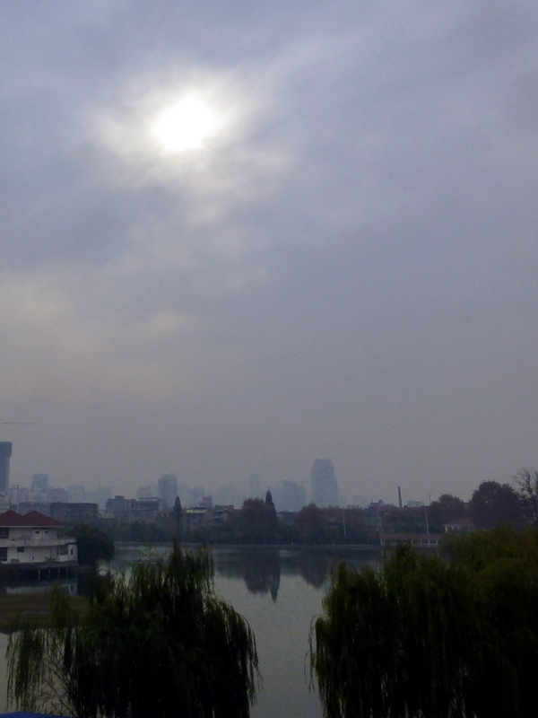 p1150625.jpg