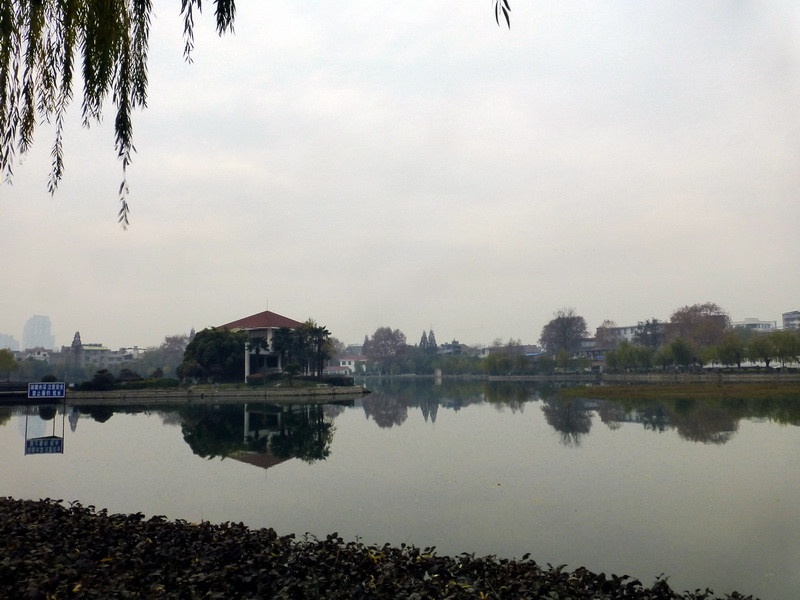 p1150629.jpg