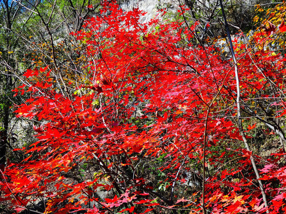 dsc04743.jpg