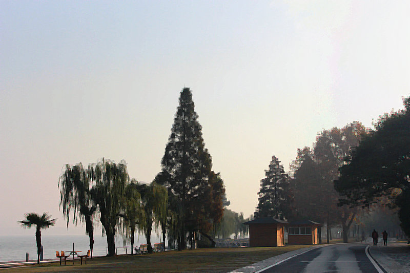 2013,12,1ĥɽͽ 042.jpg