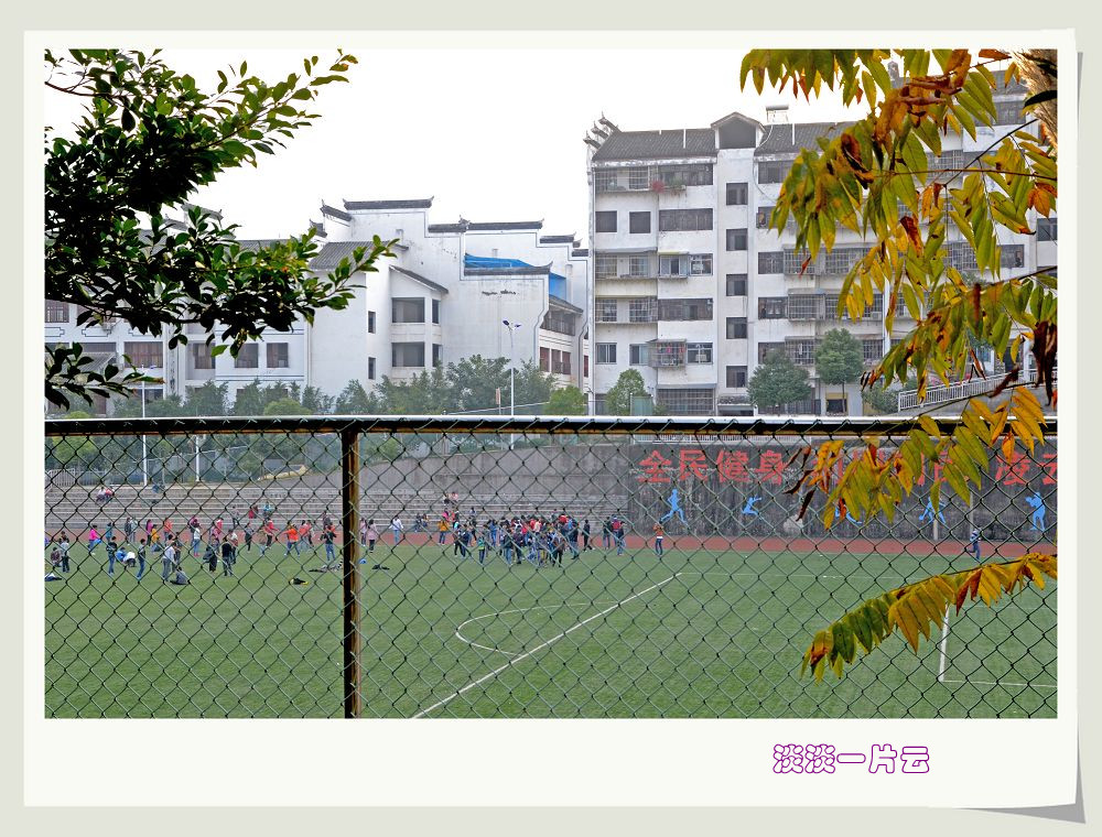 76.jpg