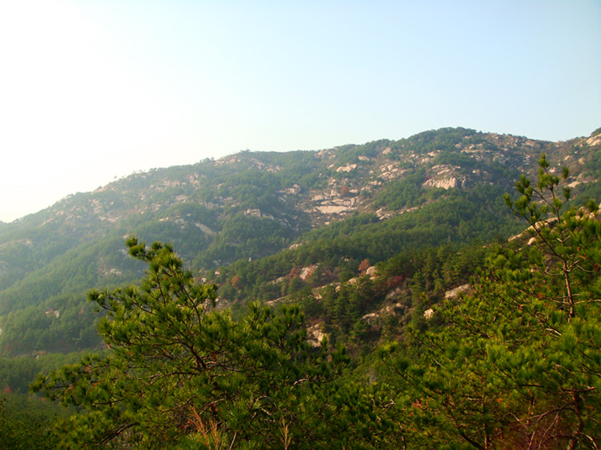 dsc02582_.jpg