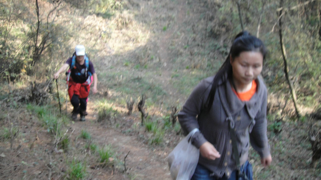 dsc06989.jpg