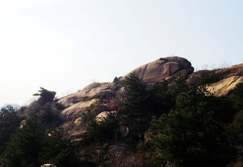 dscf0299.jpg