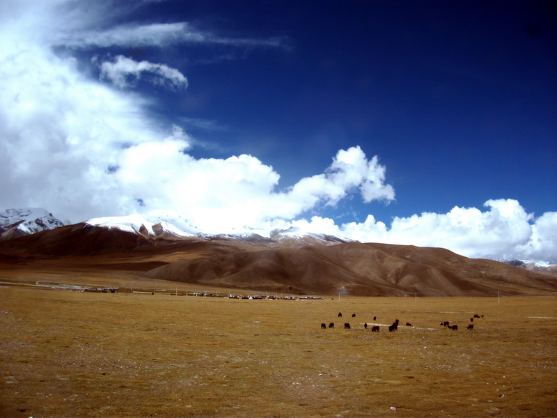 dscf0635.jpg