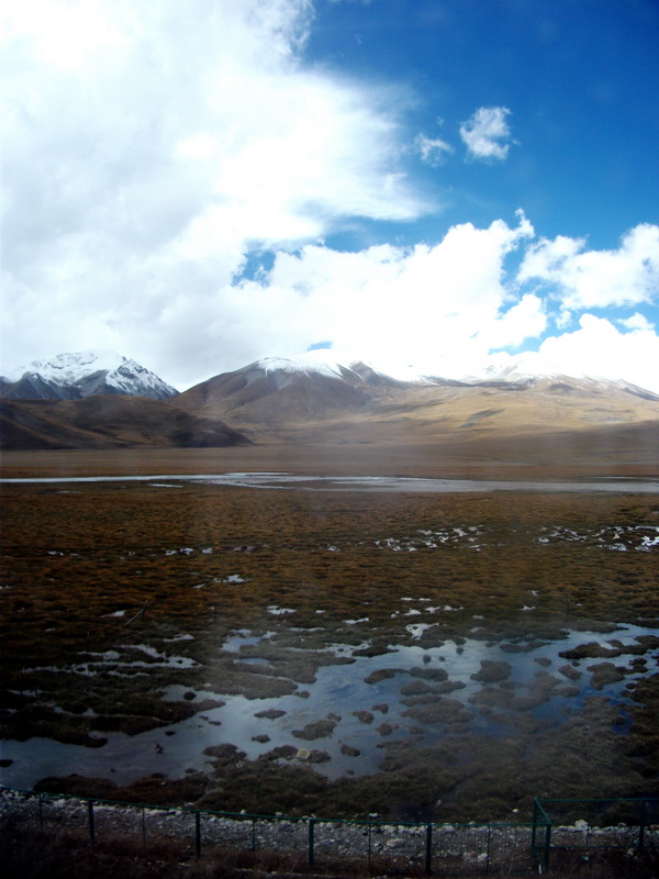 dscf0636.jpg