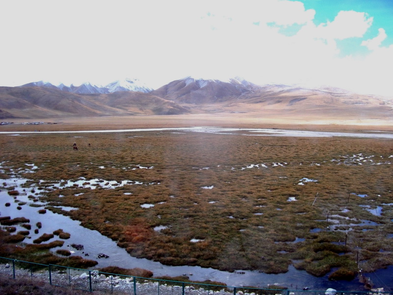 dscf0637.jpg