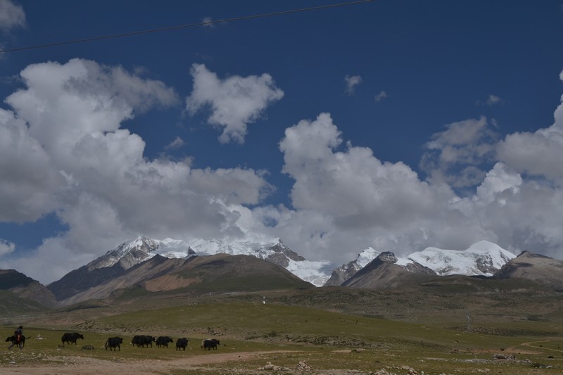 dsc_2811.jpg