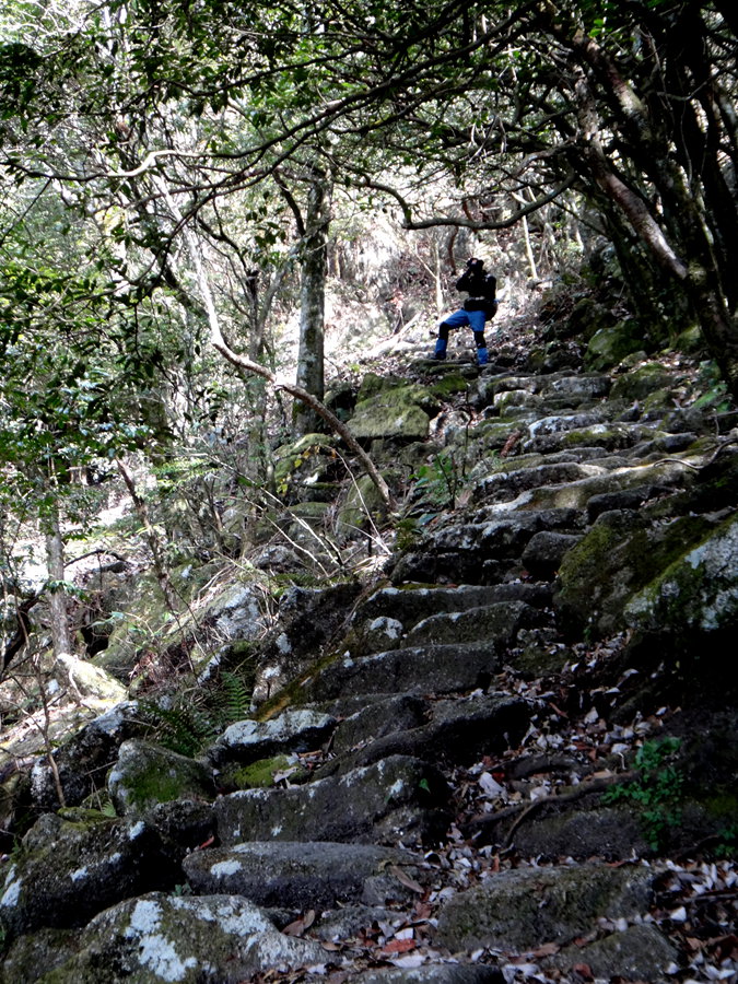 dsc03258_.jpg