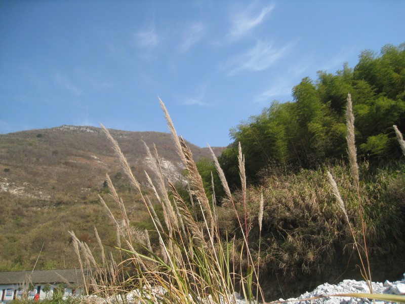 conew_img_4500.jpg