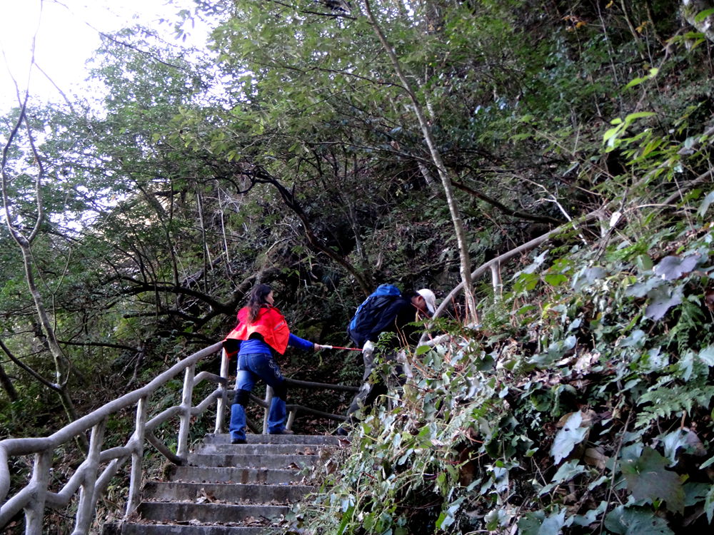 dsc03162_.jpg
