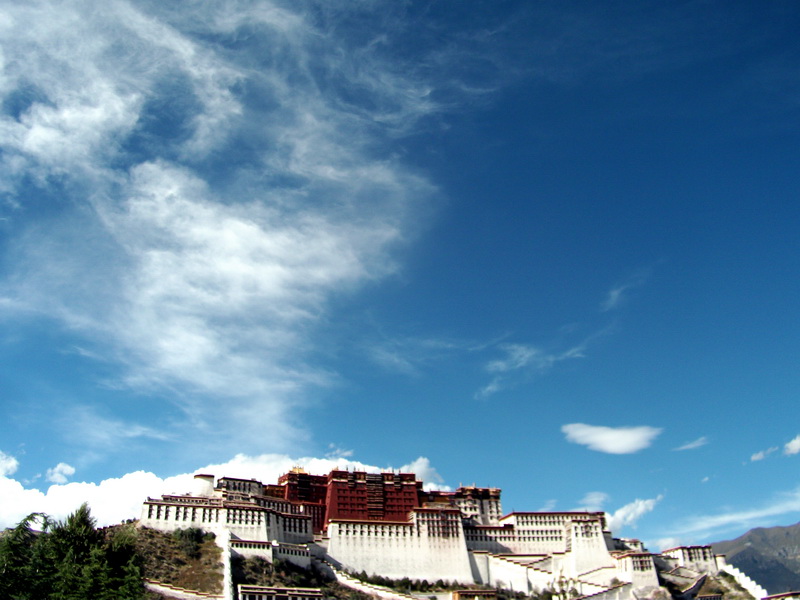 dscf0660.jpg