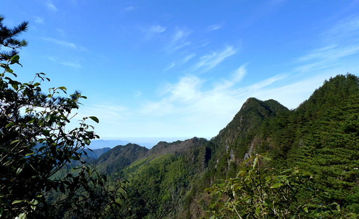 p1120063_1.jpg