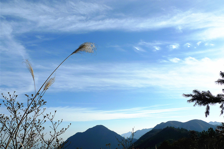 p1120259_1.jpg