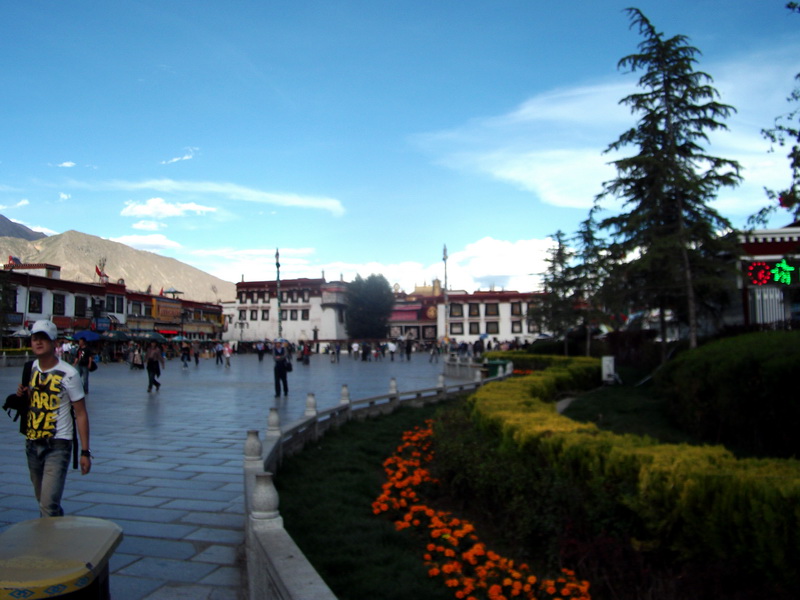 dscf0667.jpg