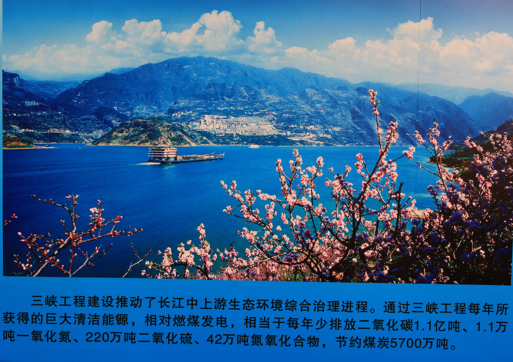 neo_img_img_5961_-.jpg