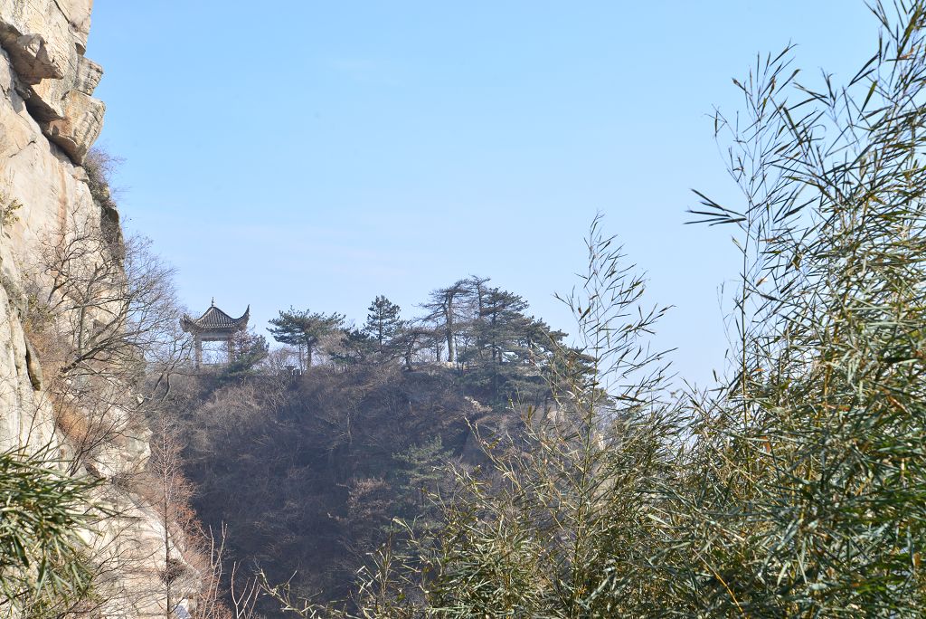 dsc_2139_Ŀѹ.jpg