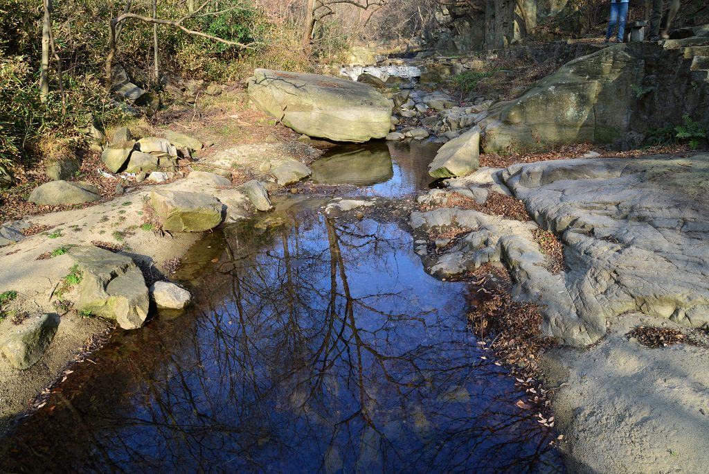 dsc_2208_Ŀѹ.jpg