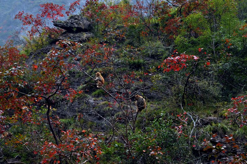 dsc_2216.jpg