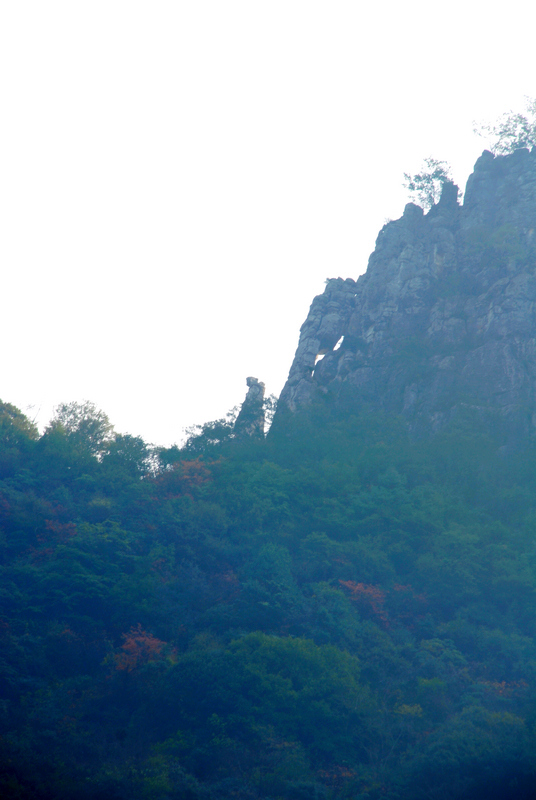 dsc_0566.jpg