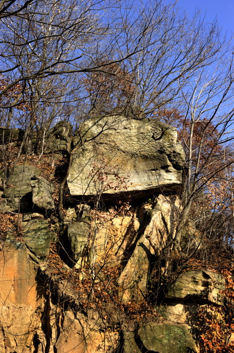 _dsc4443.jpg