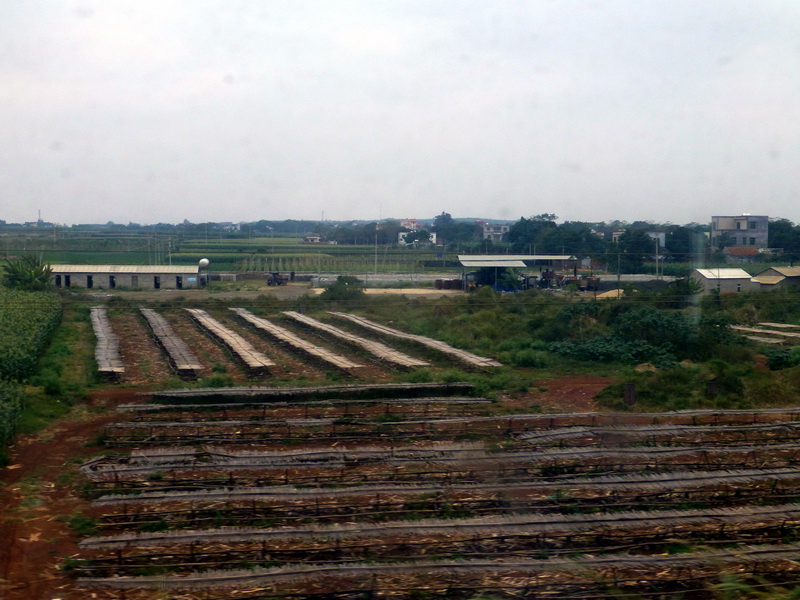 p1150756.jpg