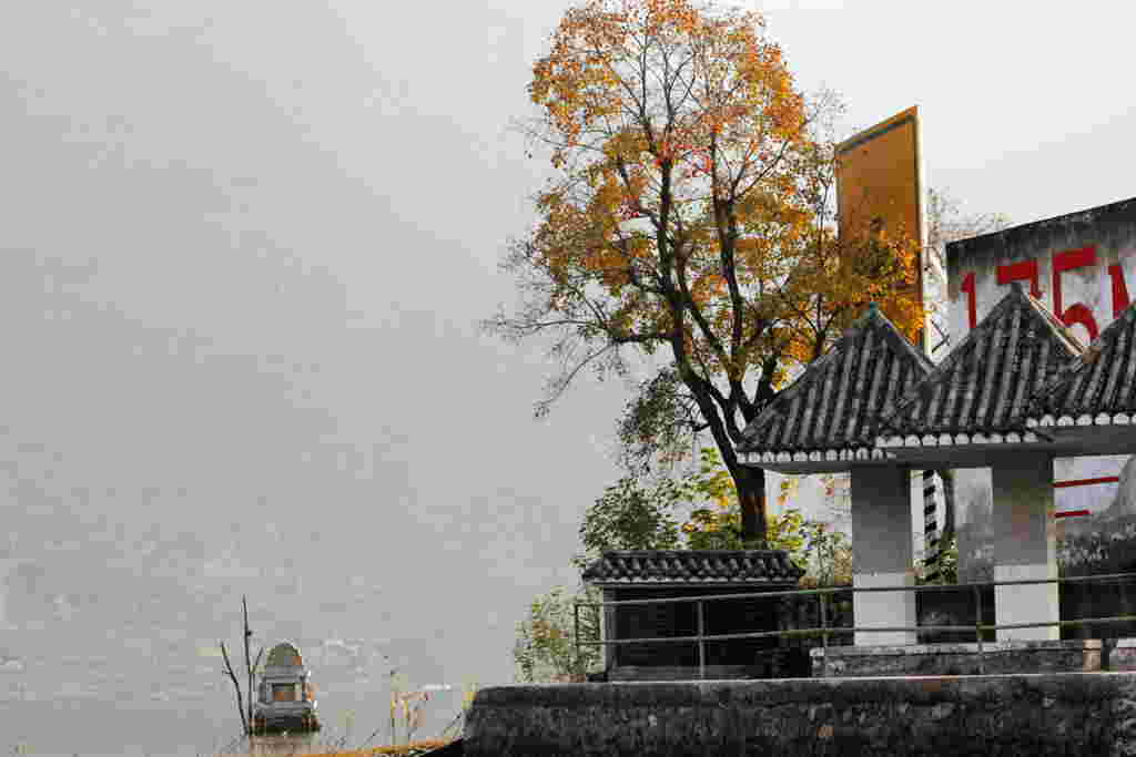 wel_1646_.jpg