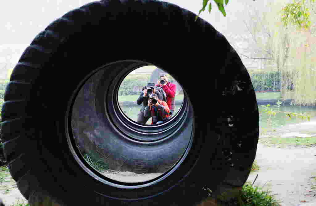 wel_2251_.jpg