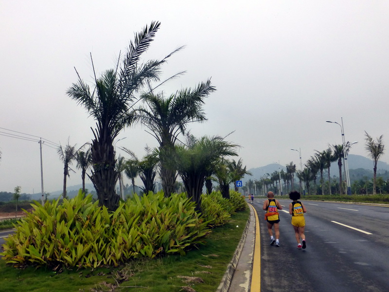 p1150930.jpg