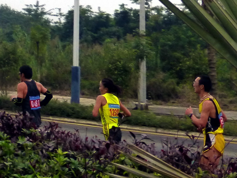 p1150937.jpg