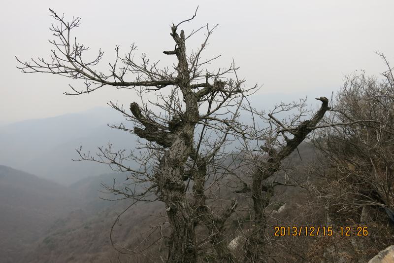 img_0705.jpg