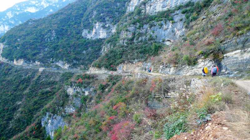 p1110453_neo_img.jpg
