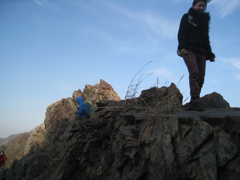 conew_img_4696.jpg