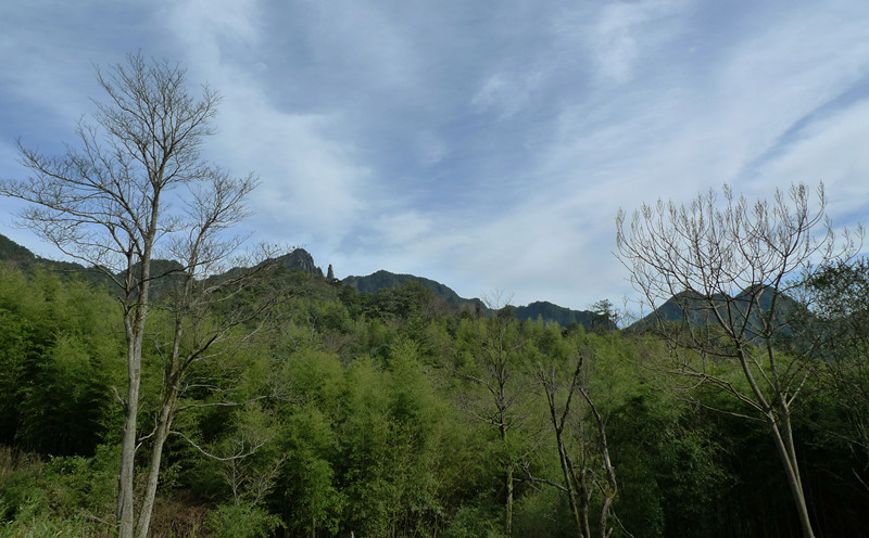 p1120165_1.jpg