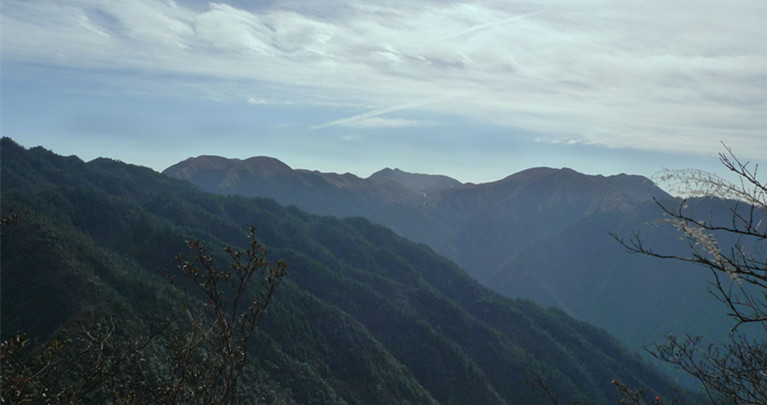 p1120195_1.jpg