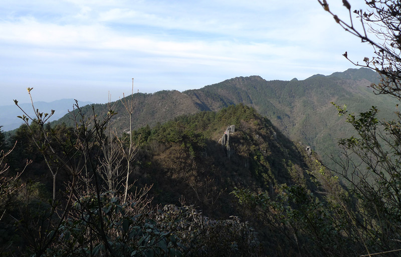 p1120248_1.jpg