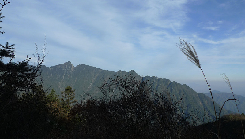 p1120257_1.jpg
