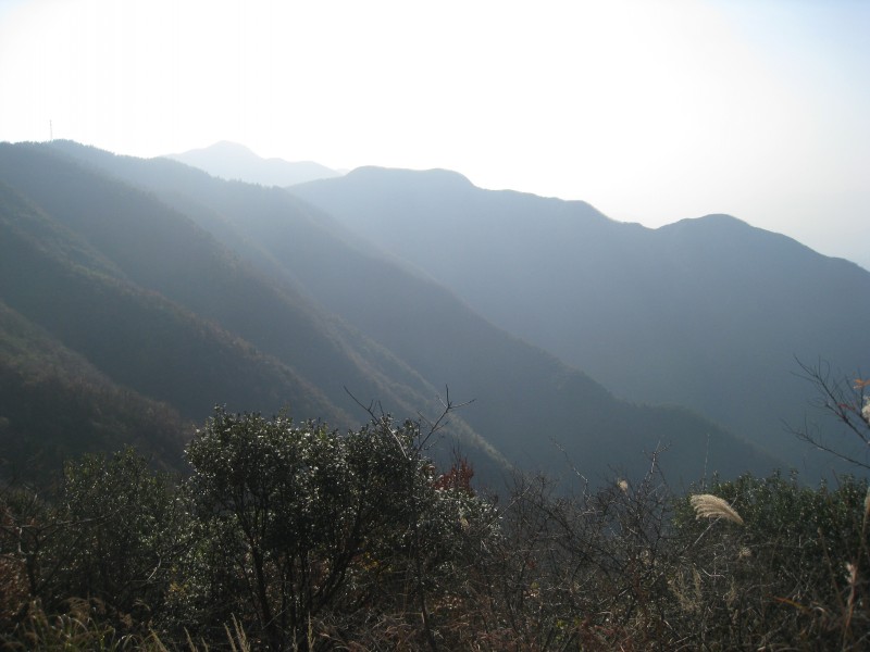 conew_img_4738.jpg