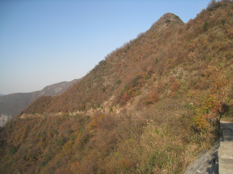 conew_img_4756.jpg