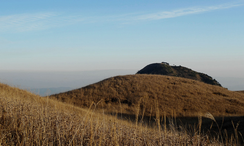 p1120358_1.jpg
